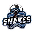 Snakes Vehicle Decal