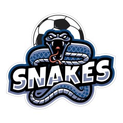 Snakes Vehicle Decal