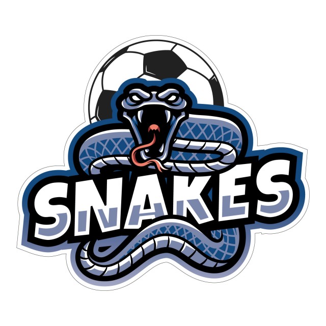 Snakes Vehicle Decal